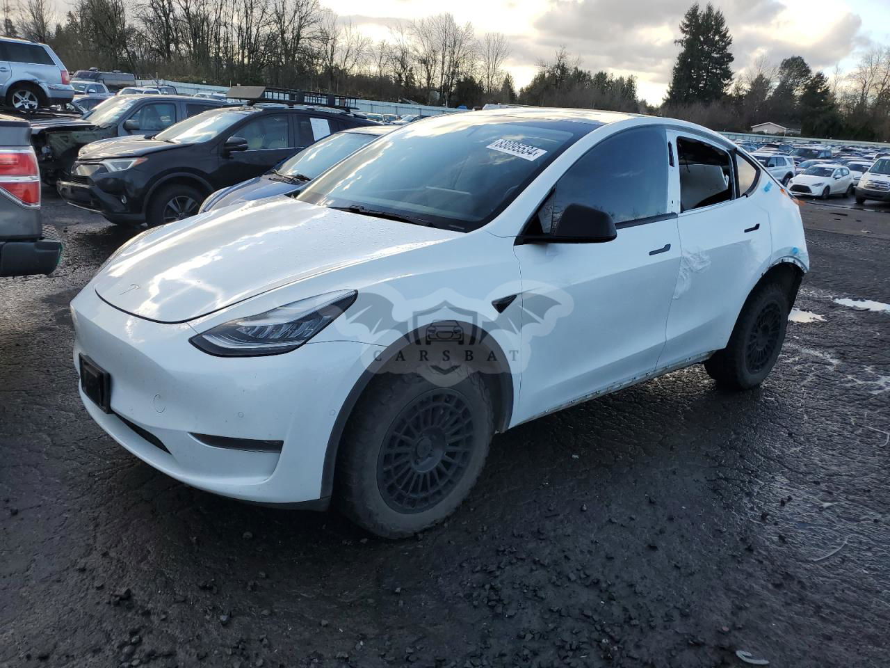 Tesla Model Y 2020
