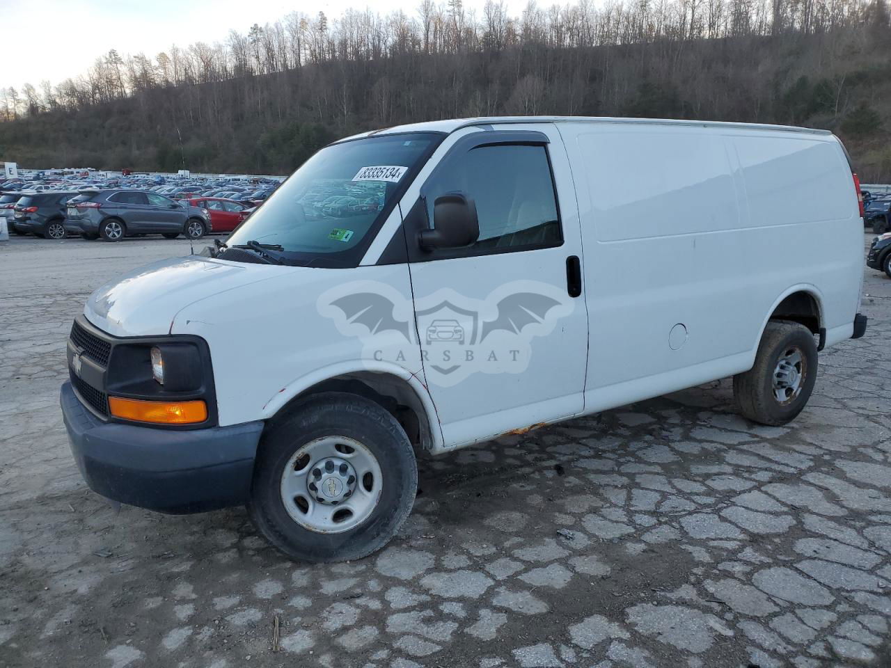 Chevrolet Express 4.8L  8 2009