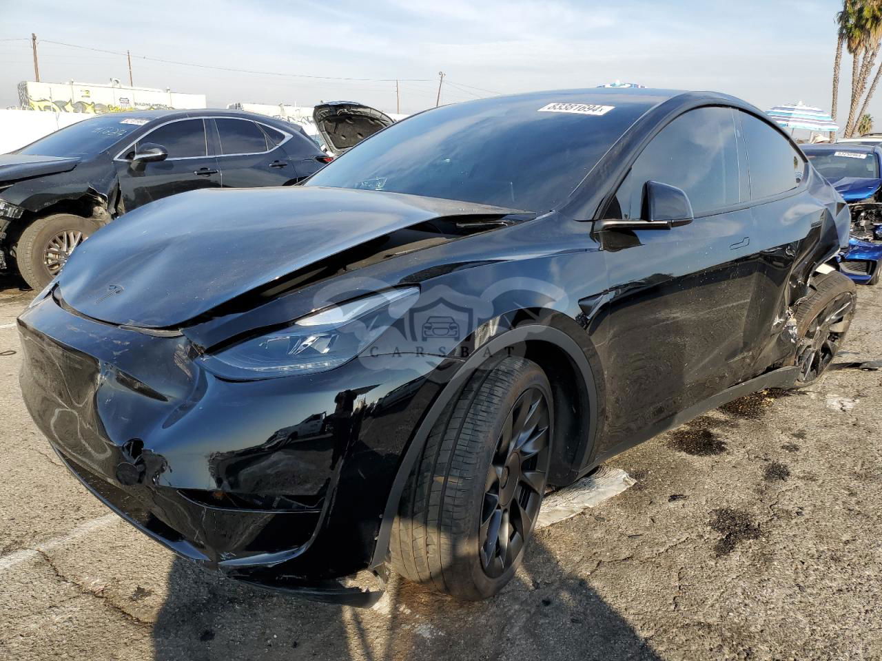 Tesla Model Y 2024