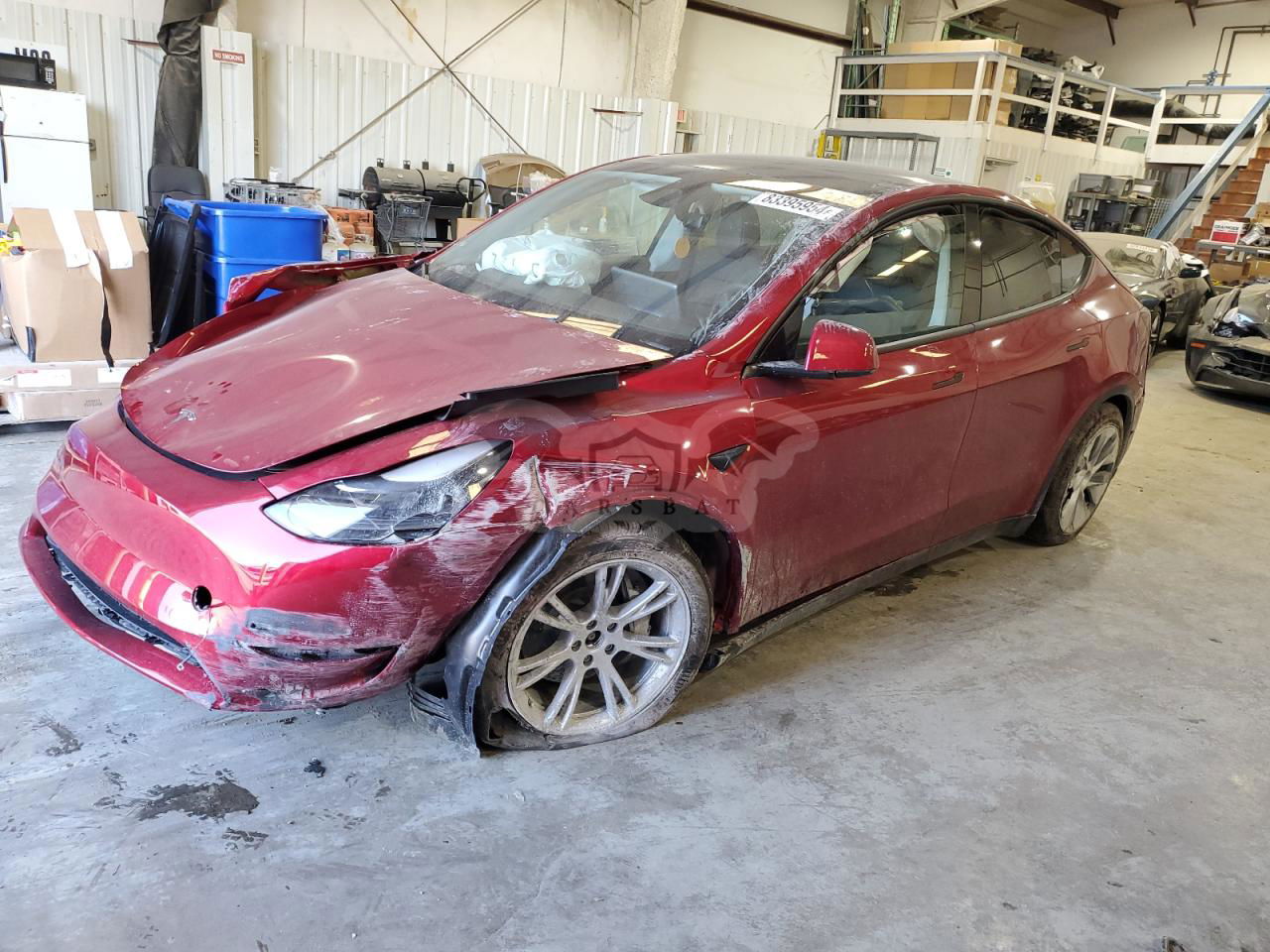 Tesla Model Y 2024