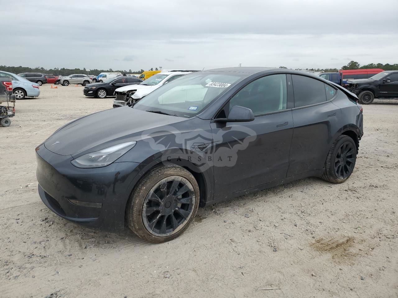 Tesla Model Y 2024