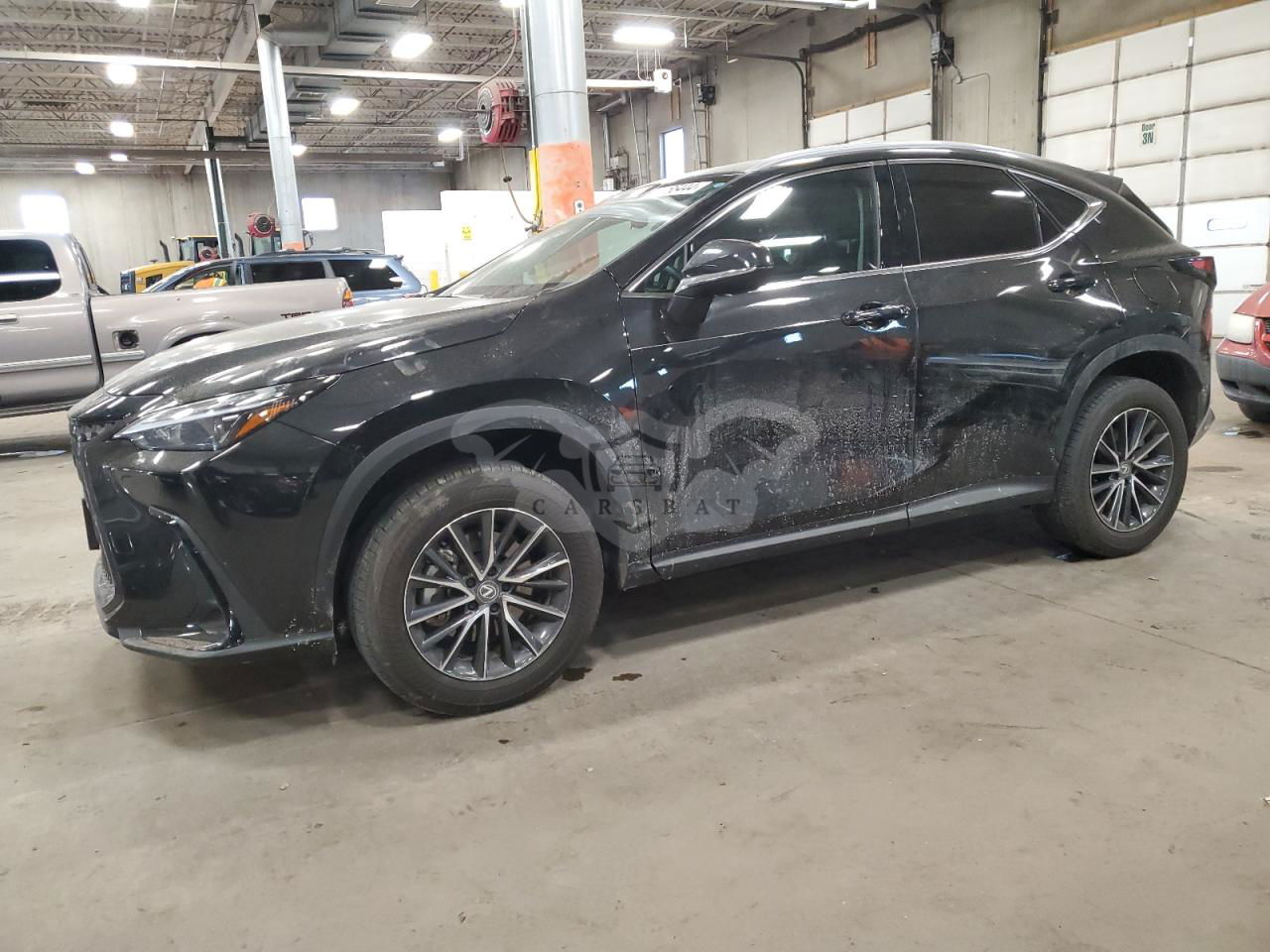Lexus NX 350H BASE 2.5L  4 2024