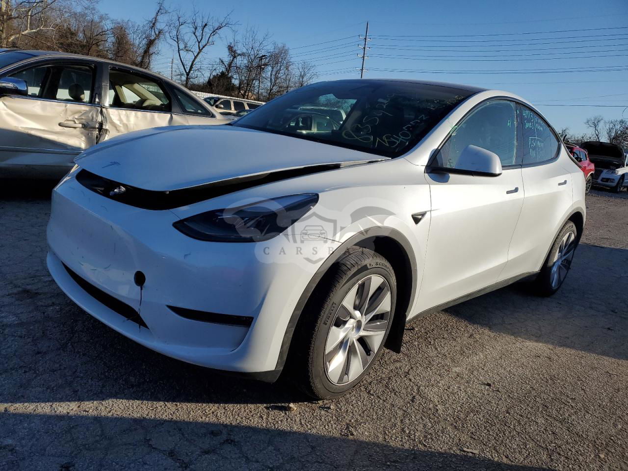 Tesla Model Y 2024