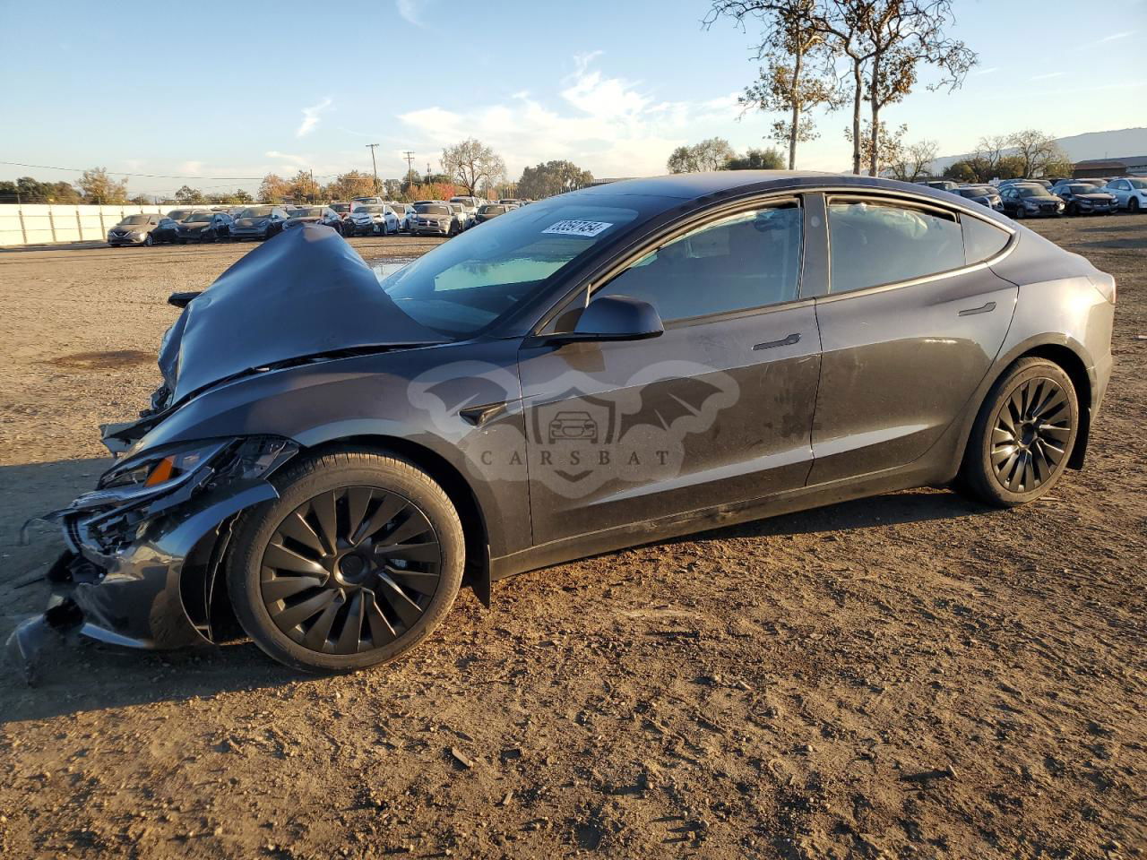 Tesla Model 3 2024