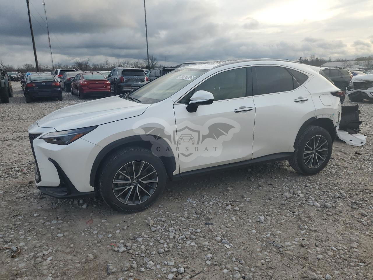 Lexus NX 250 PREMIUM 2.5L  4 2024