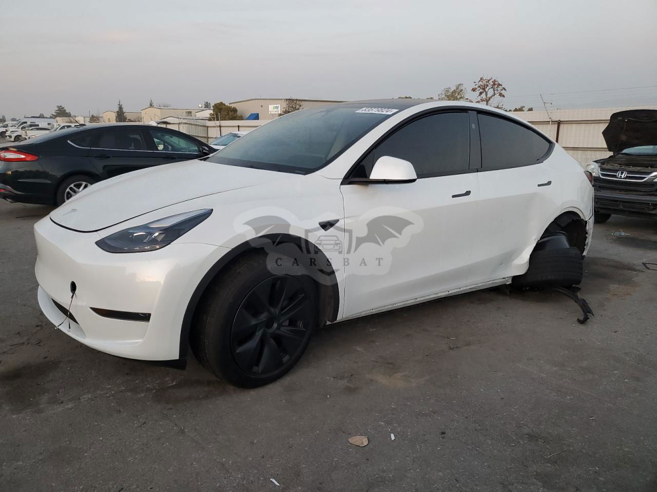 Tesla Model Y 2024