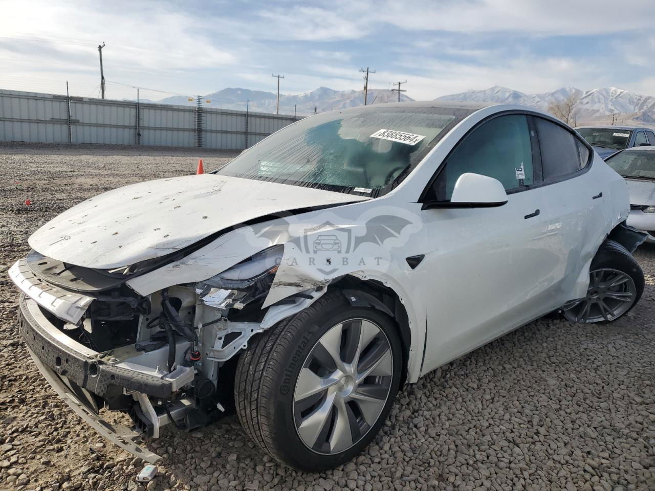 Tesla Model Y 2024
