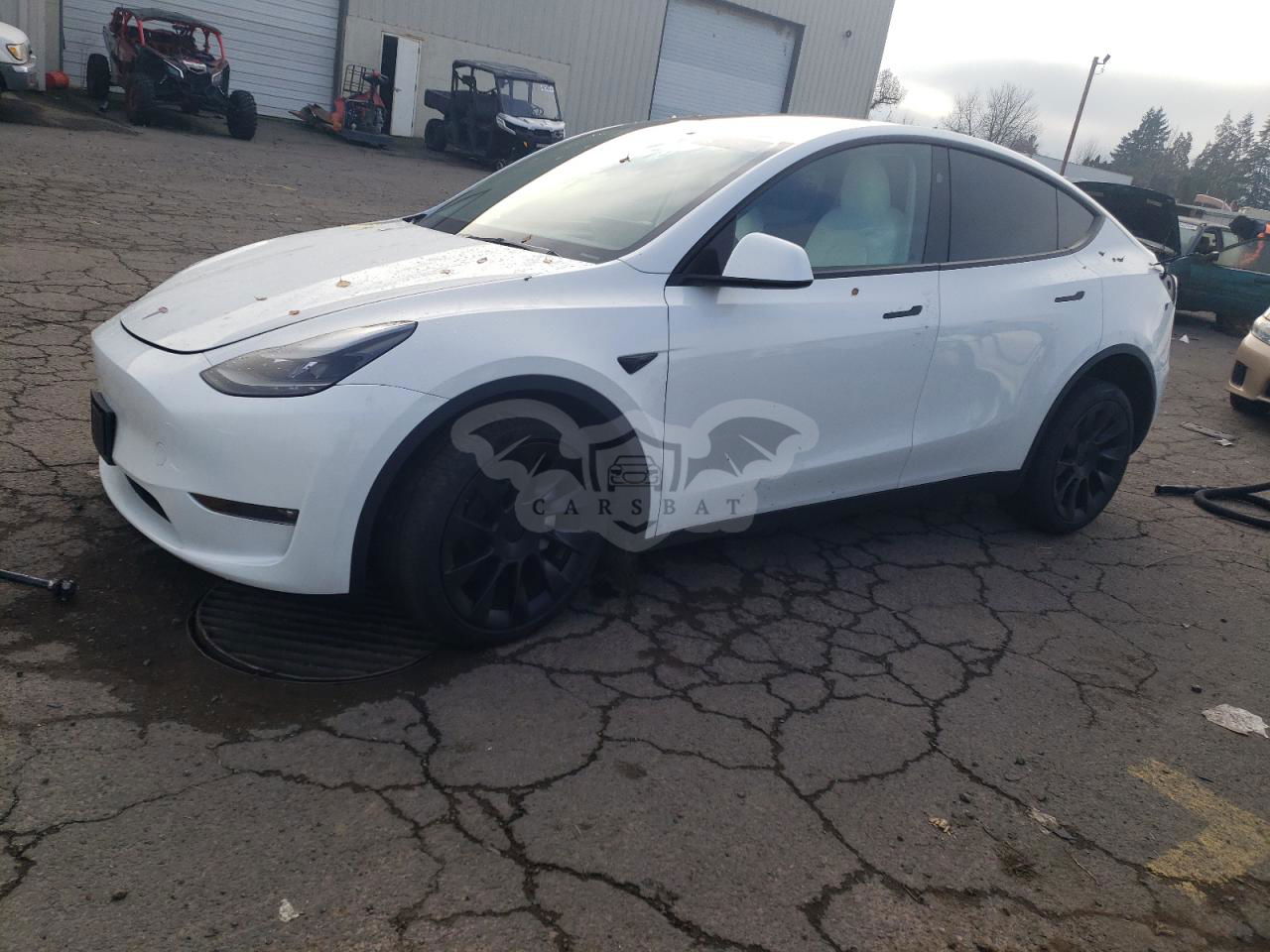 Tesla Model Y 2024