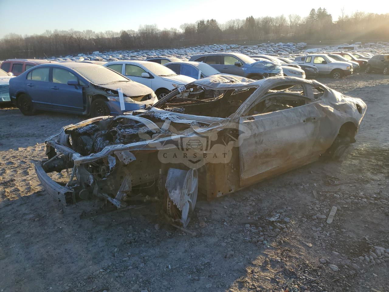 Ford Mustang MACH I 5.0L  8 2021
