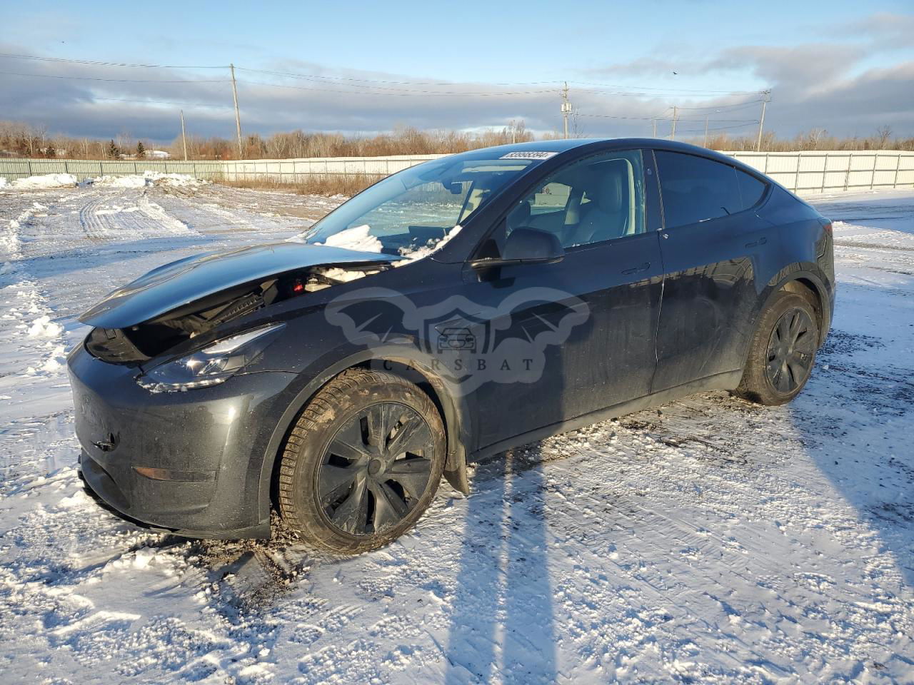 Tesla Model Y 2024