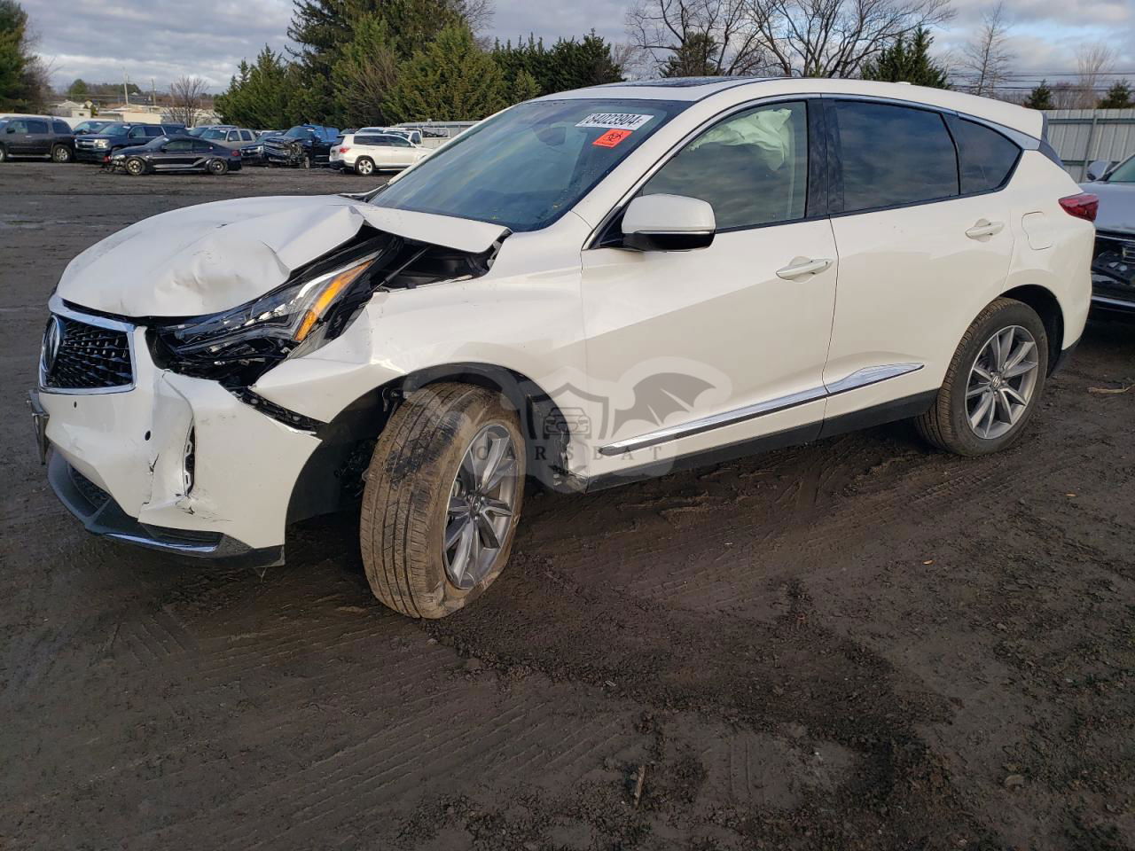 Acura RDX TECHNOLOGY 2.0L  4 2024
