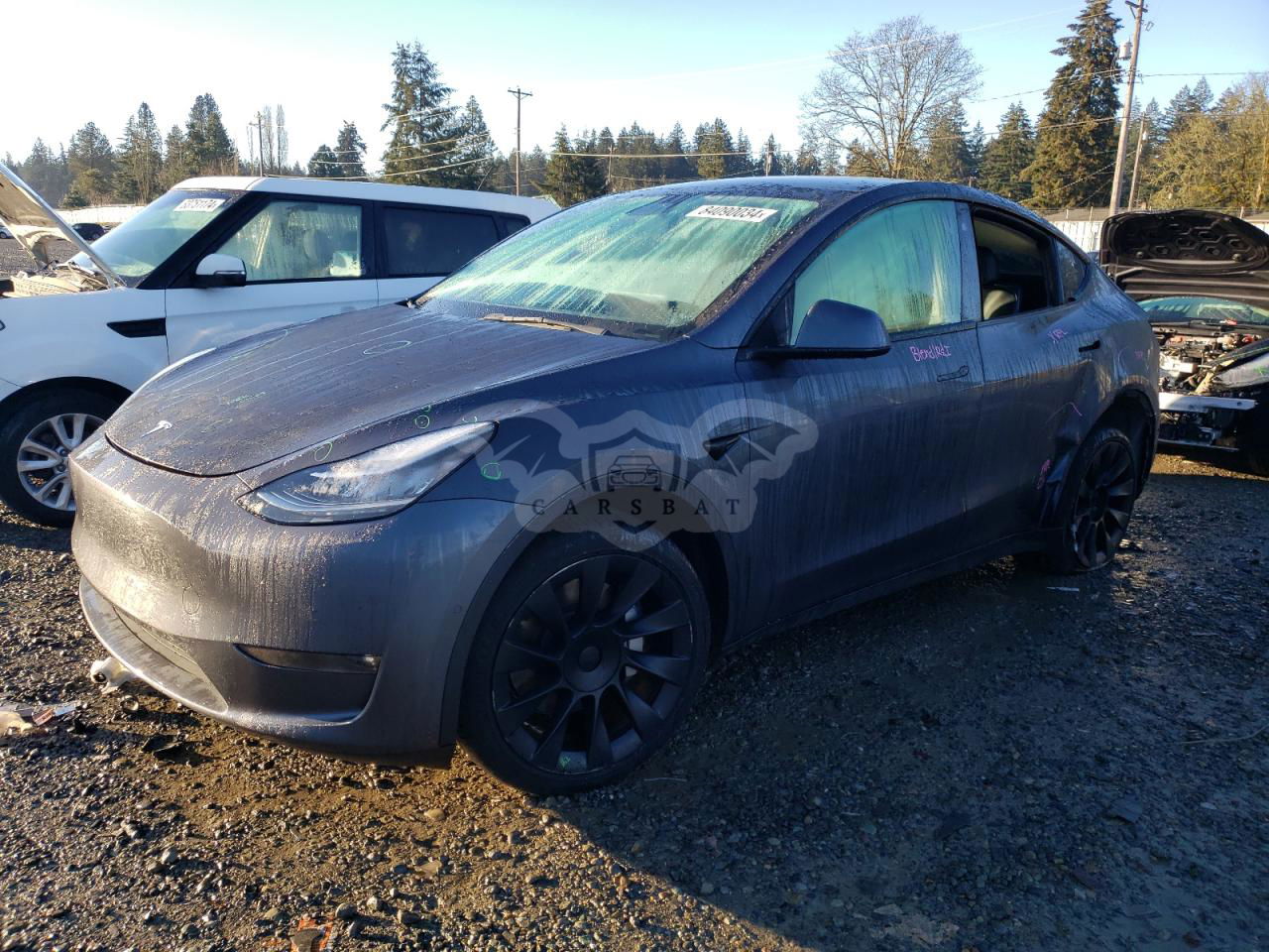 Tesla Model Y 2021