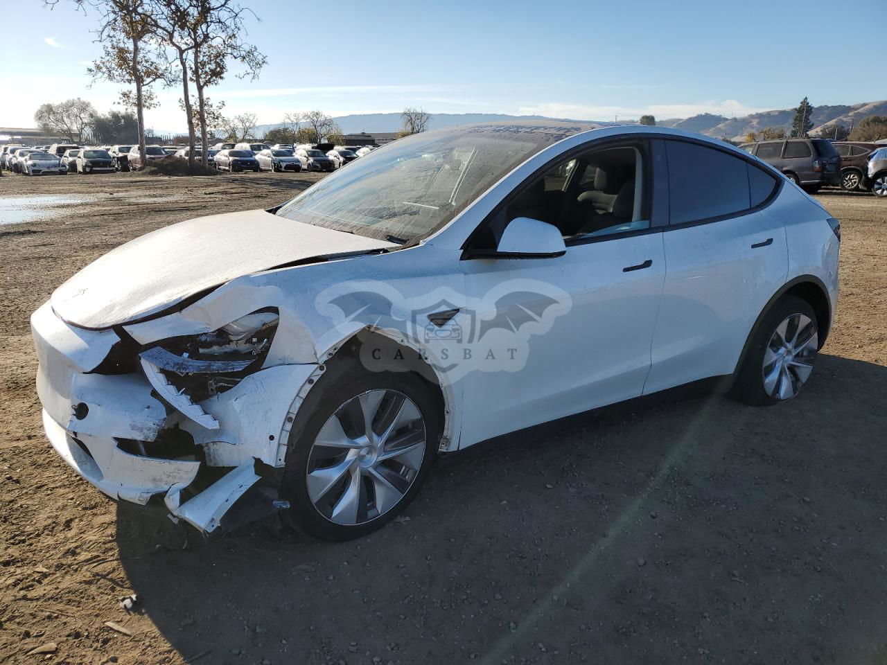 Tesla Model Y 2020