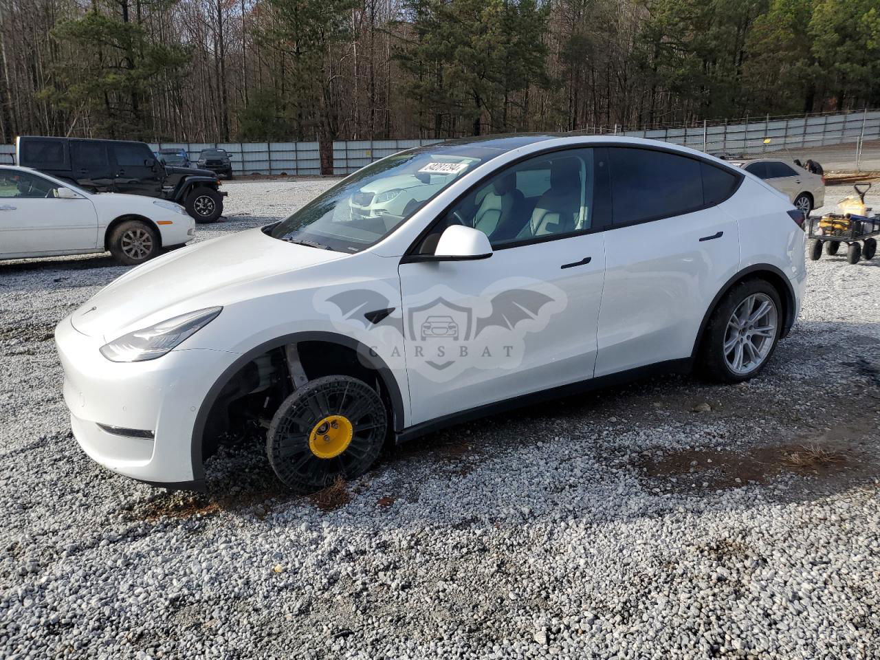 Tesla Model Y 2020