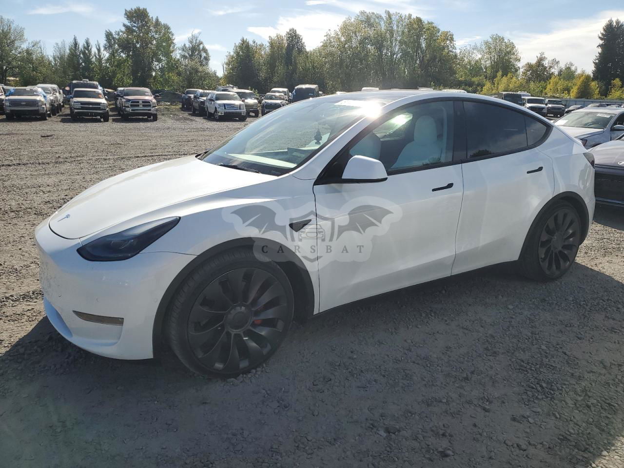 Tesla Model Y 2022