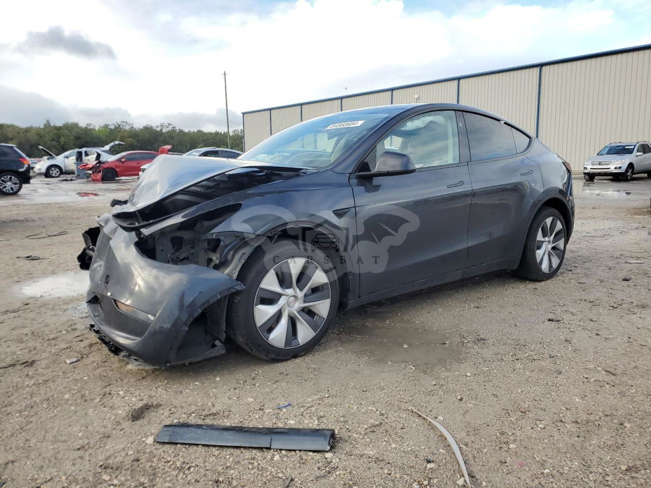 Tesla Model Y 2024