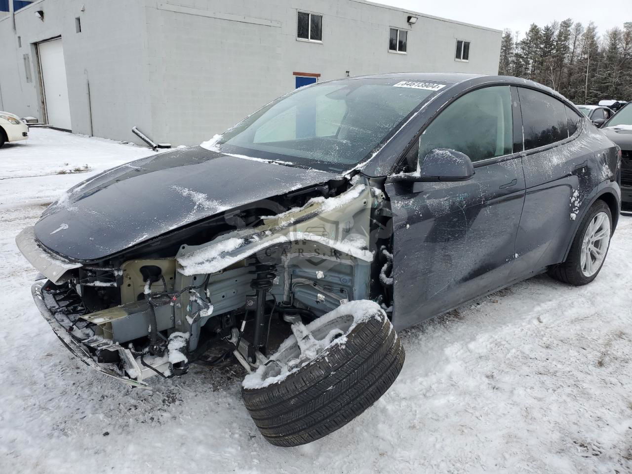 Tesla Model Y 2024
