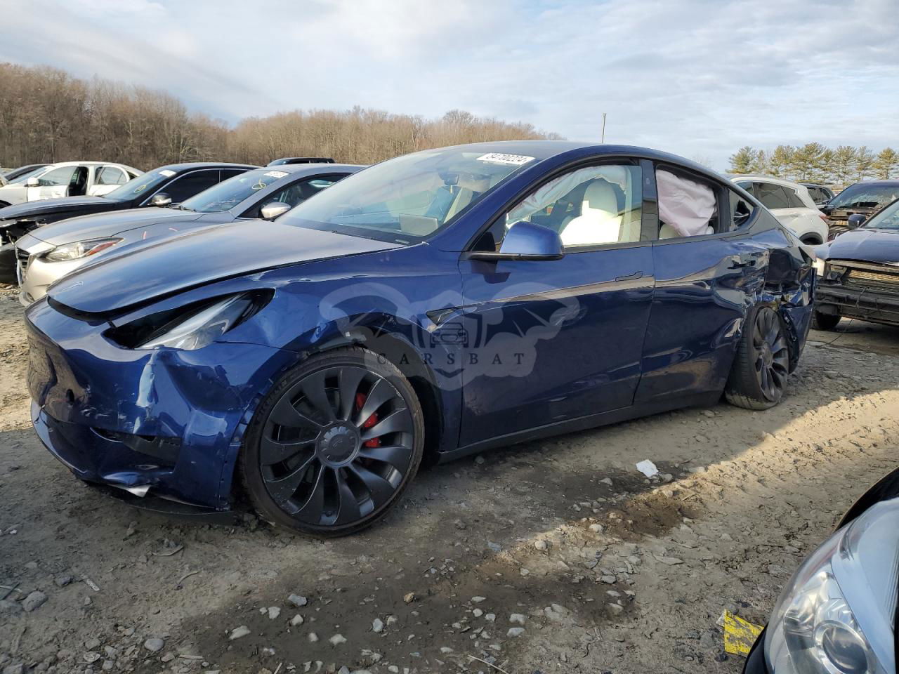 Tesla Model Y 2024