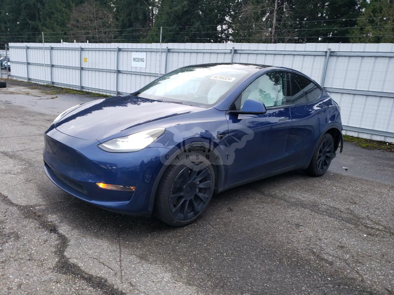 Tesla Model Y 2020