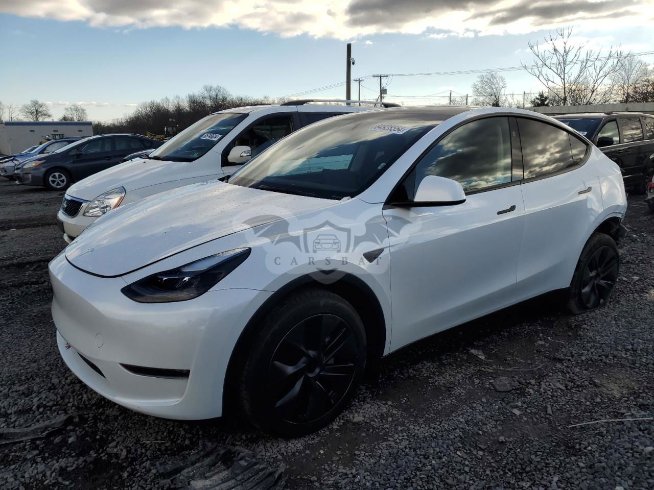 Tesla Model Y 2024