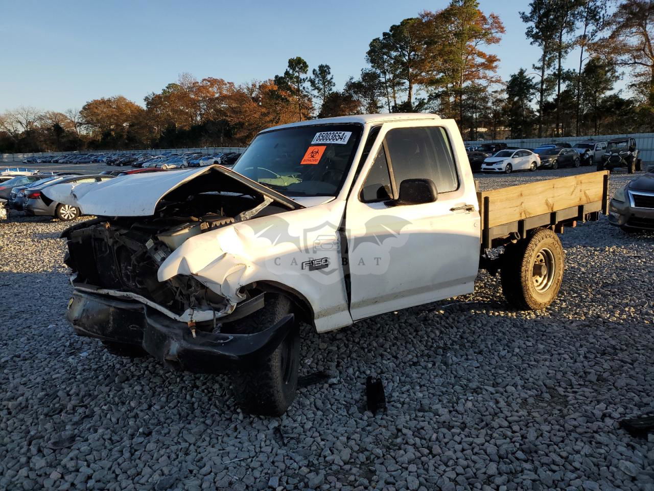 Ford F-150 4.9L  6 1995