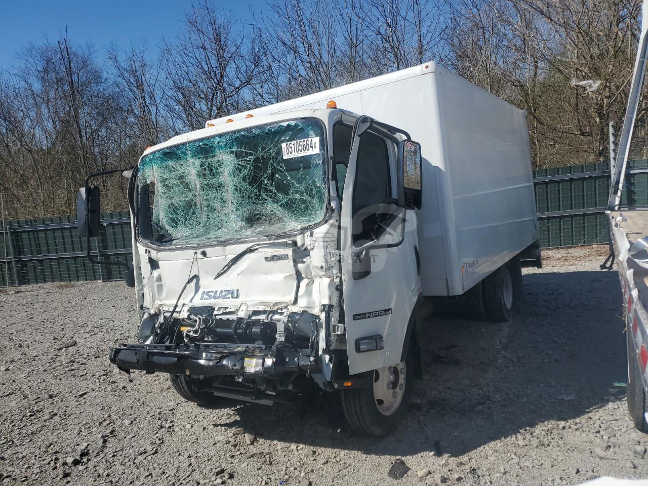 Isuzu NPR 6.6L  8 2024