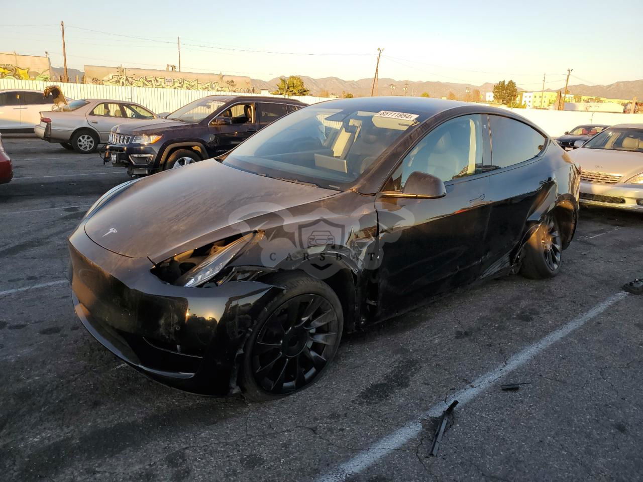 Tesla Model Y 2020