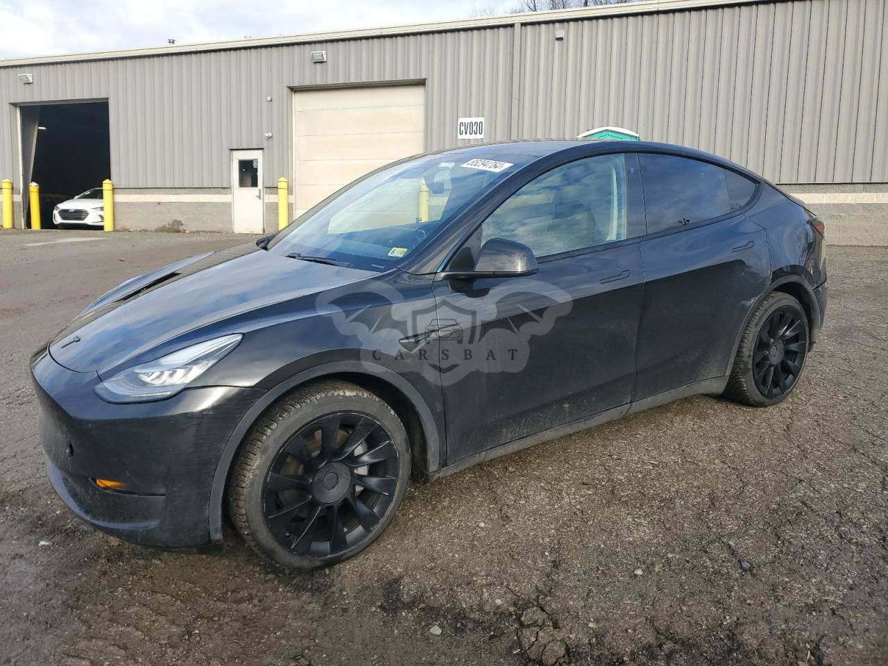 Tesla Model Y 2020