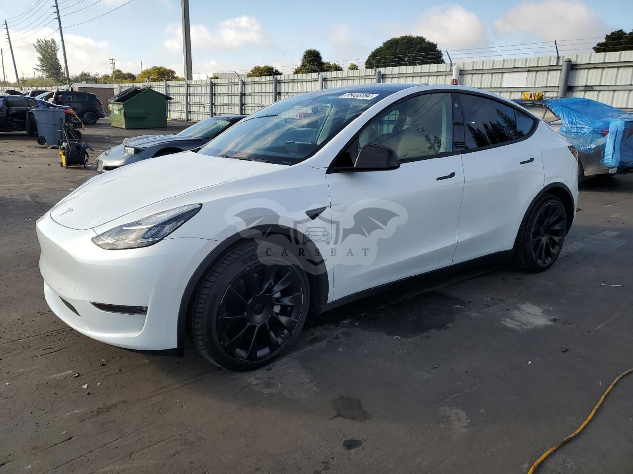 Tesla Model Y 2020