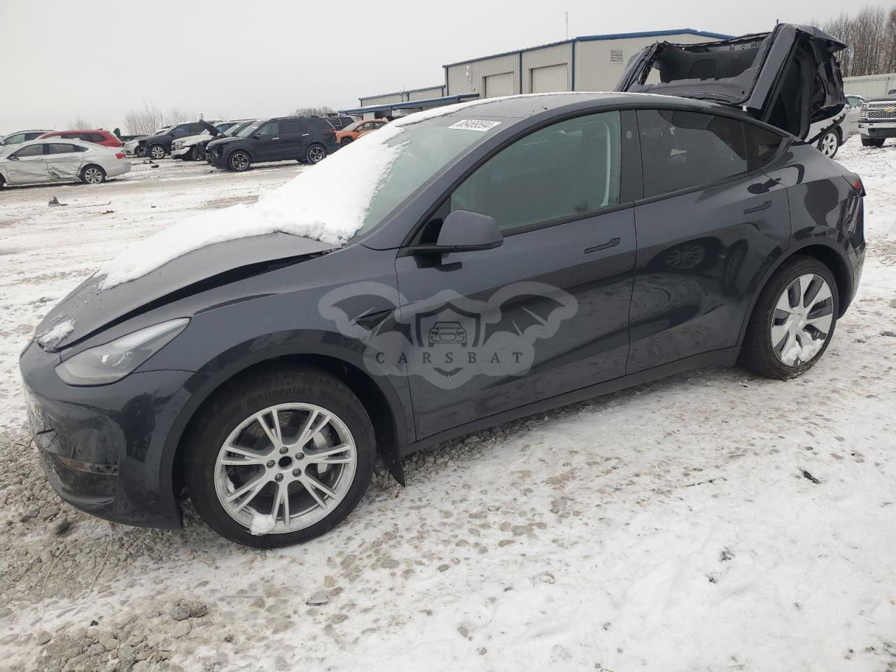 Tesla Model Y 2024