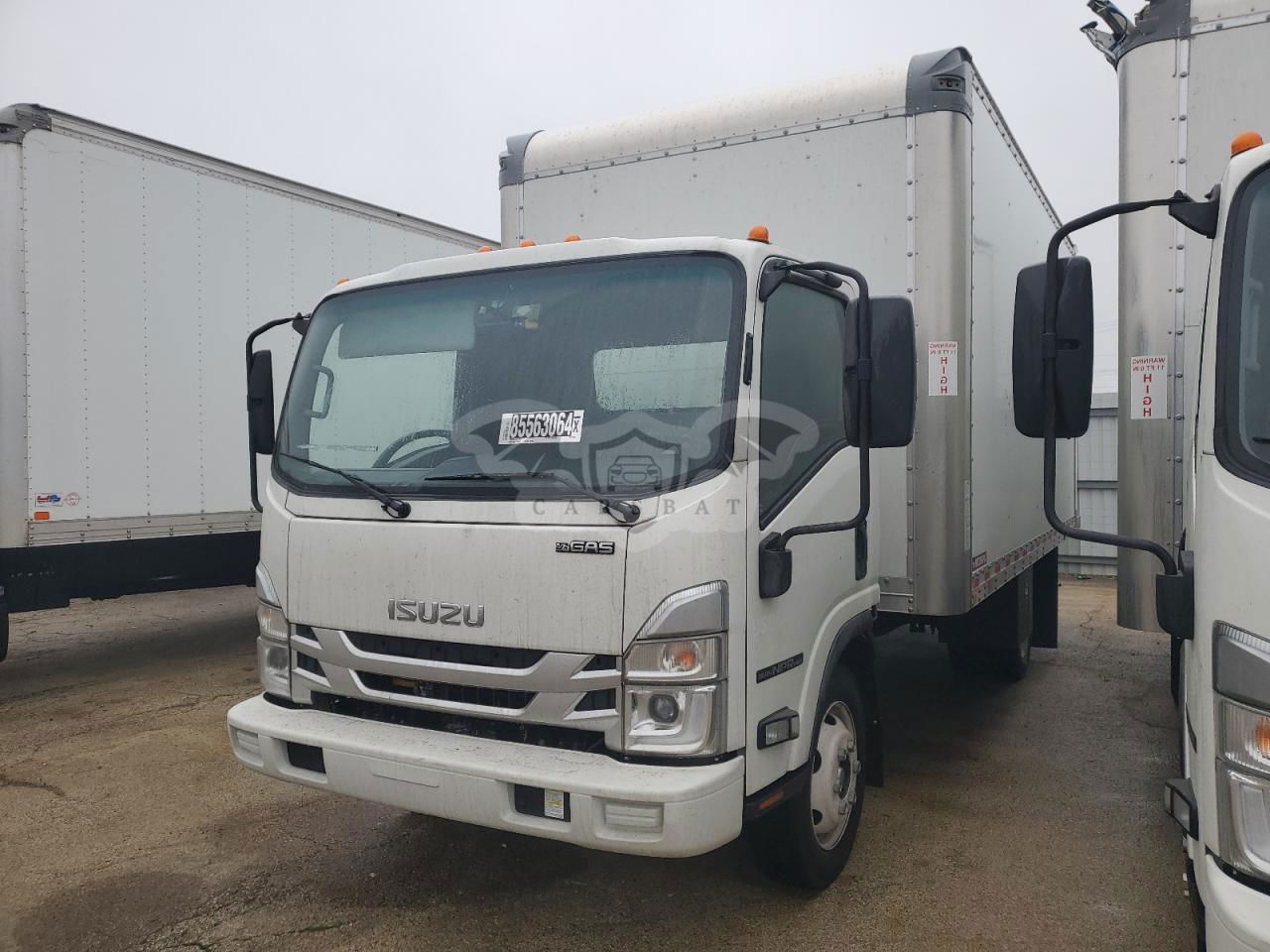 Isuzu NPR 6.6L  8 2024