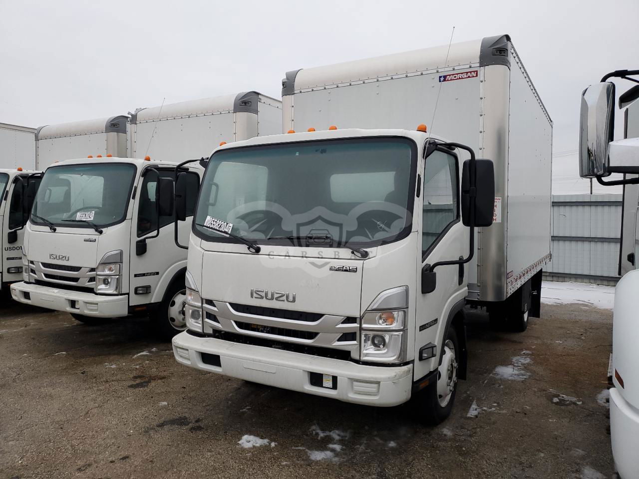 Isuzu NPR 6.6L  8 2024