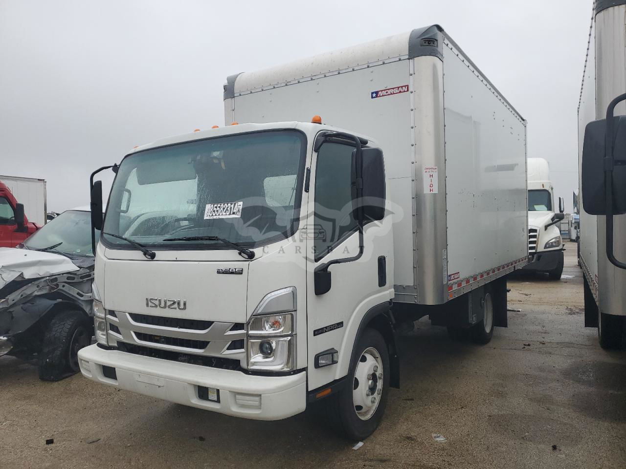 Isuzu NPR 6.6L  8 2024
