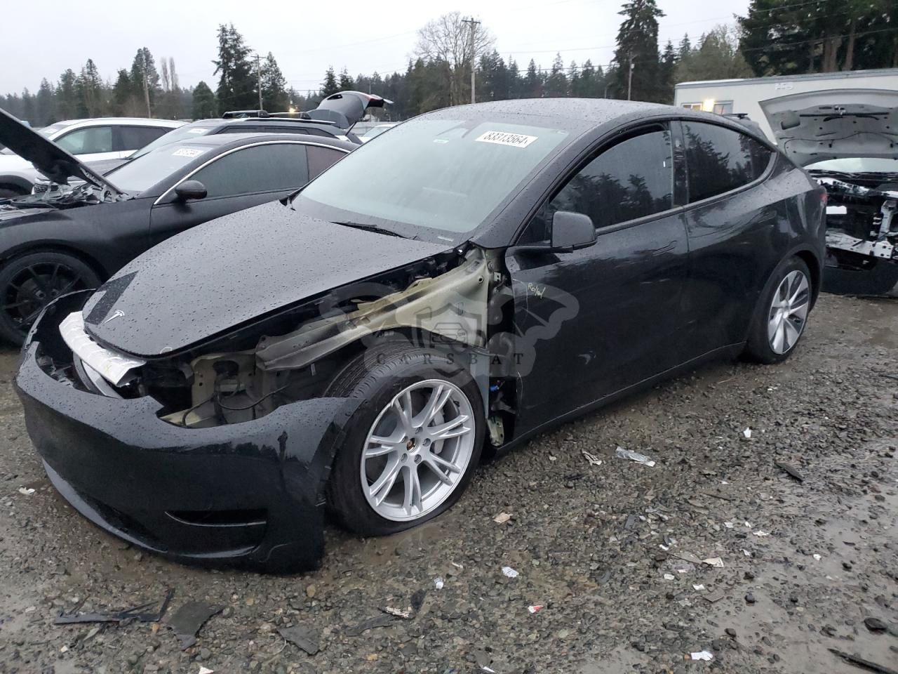 Tesla Model Y 2024