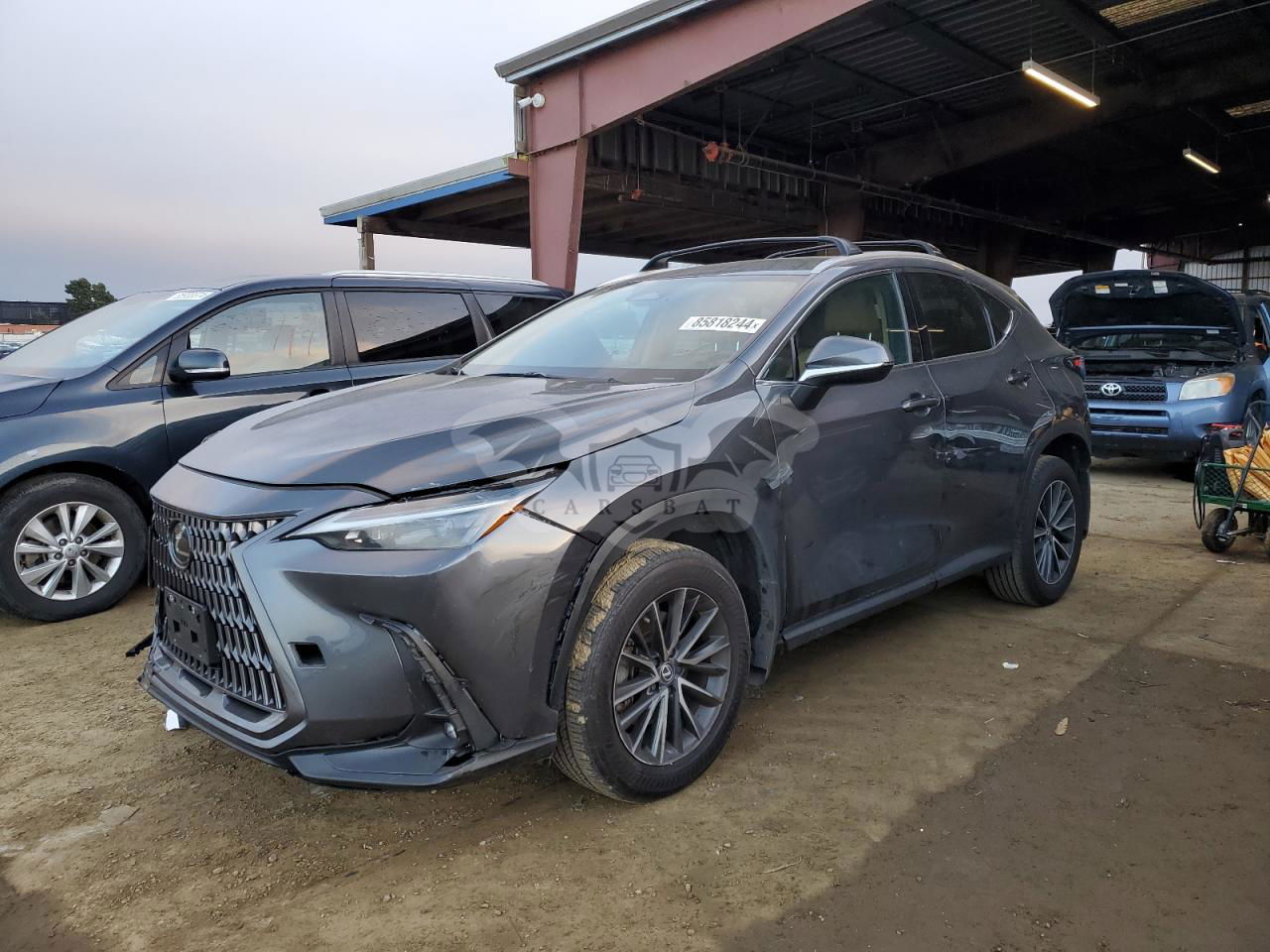 Lexus NX 2.5L  4 2024