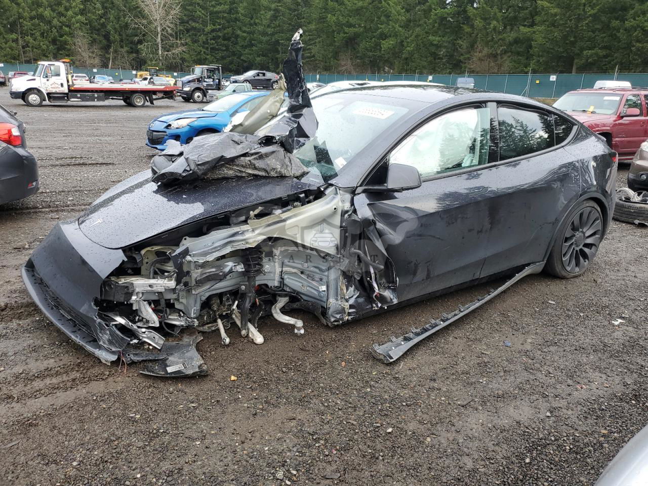 Tesla Model Y 2024