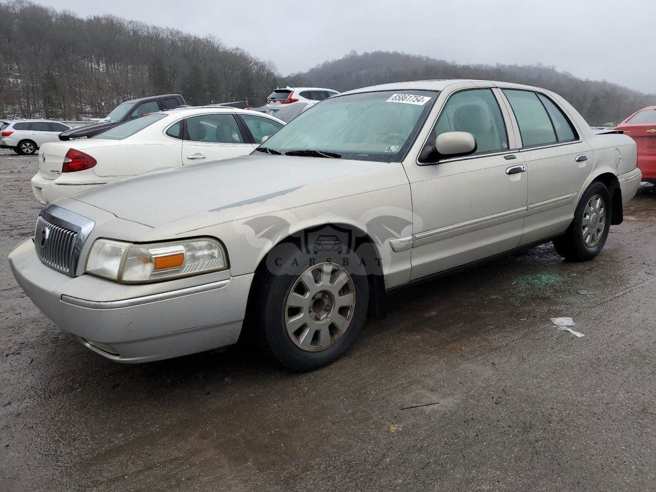 Mercury Grand Marquis LS 4.6L  8 2006
