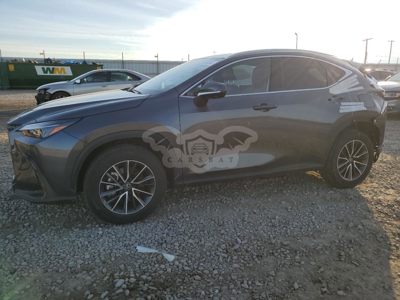 Lexus NX 2.5L  4 2024