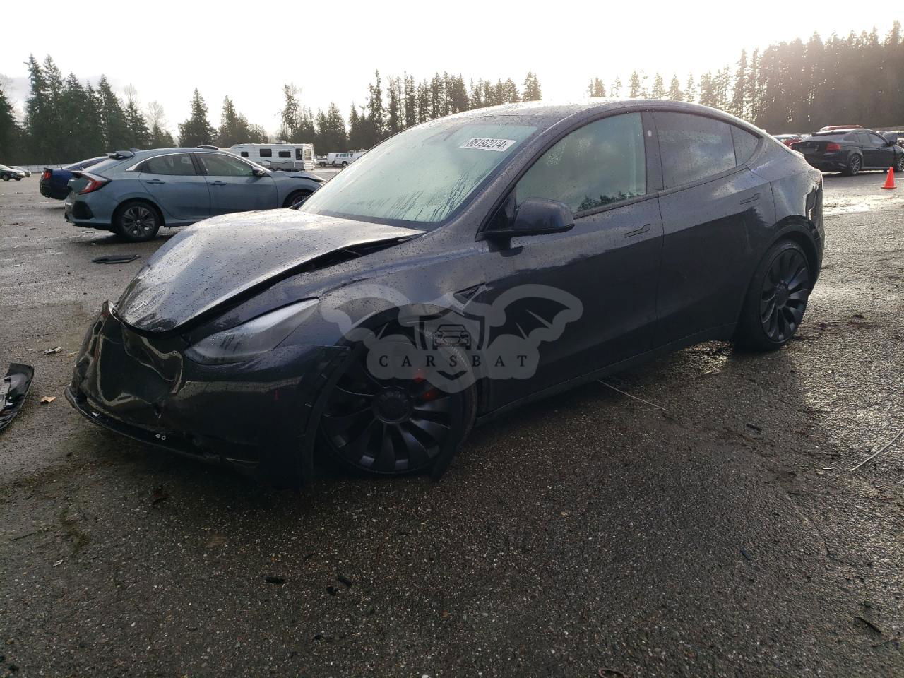 Tesla Model Y 2024