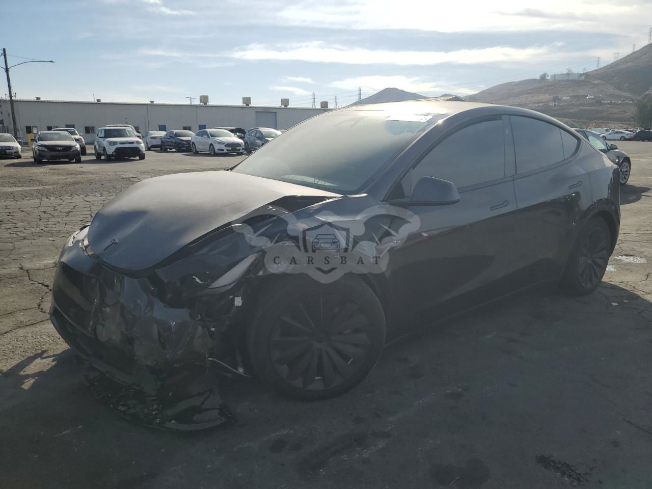 Tesla Model Y 2024