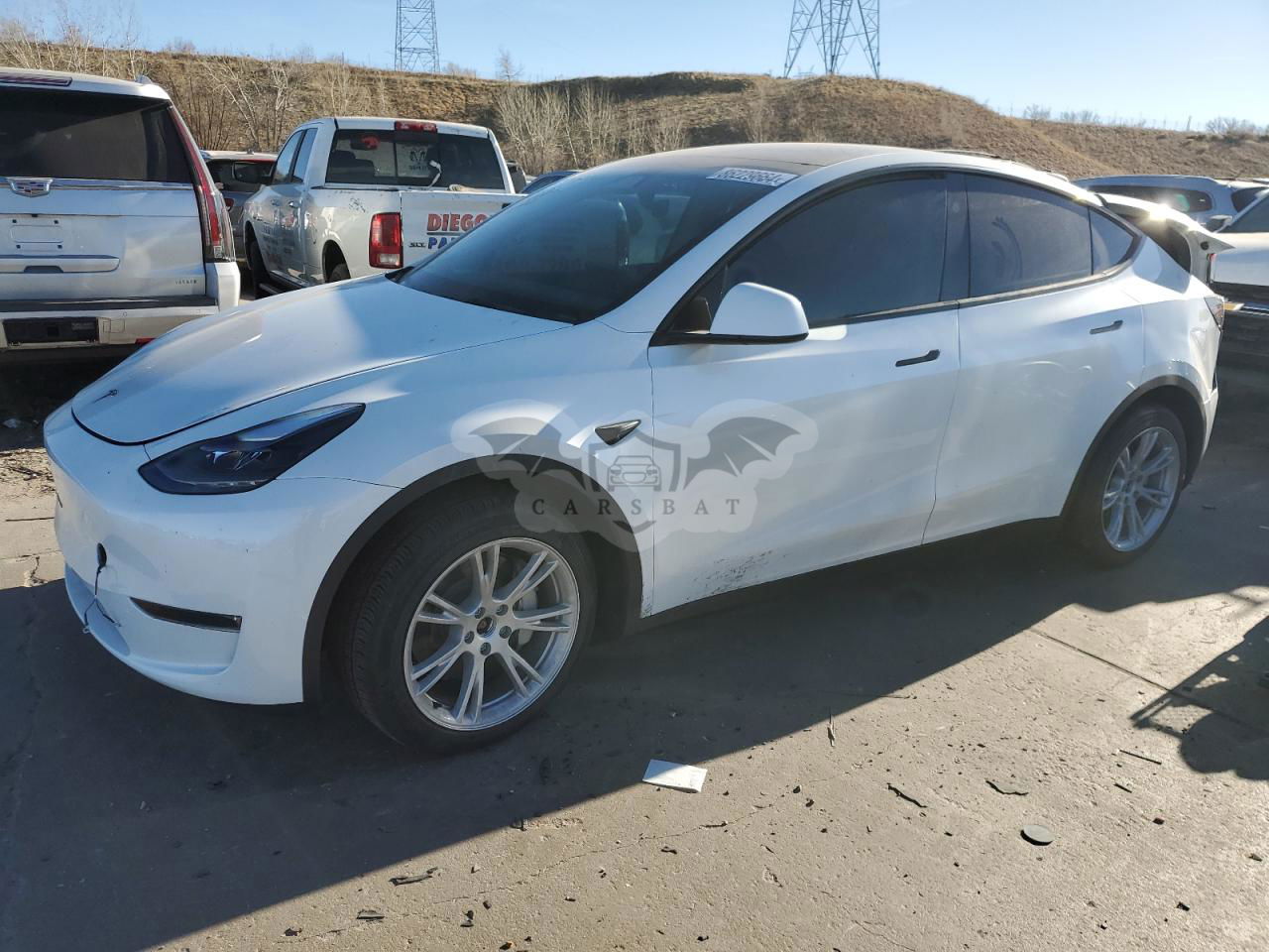 Tesla Model Y 2024