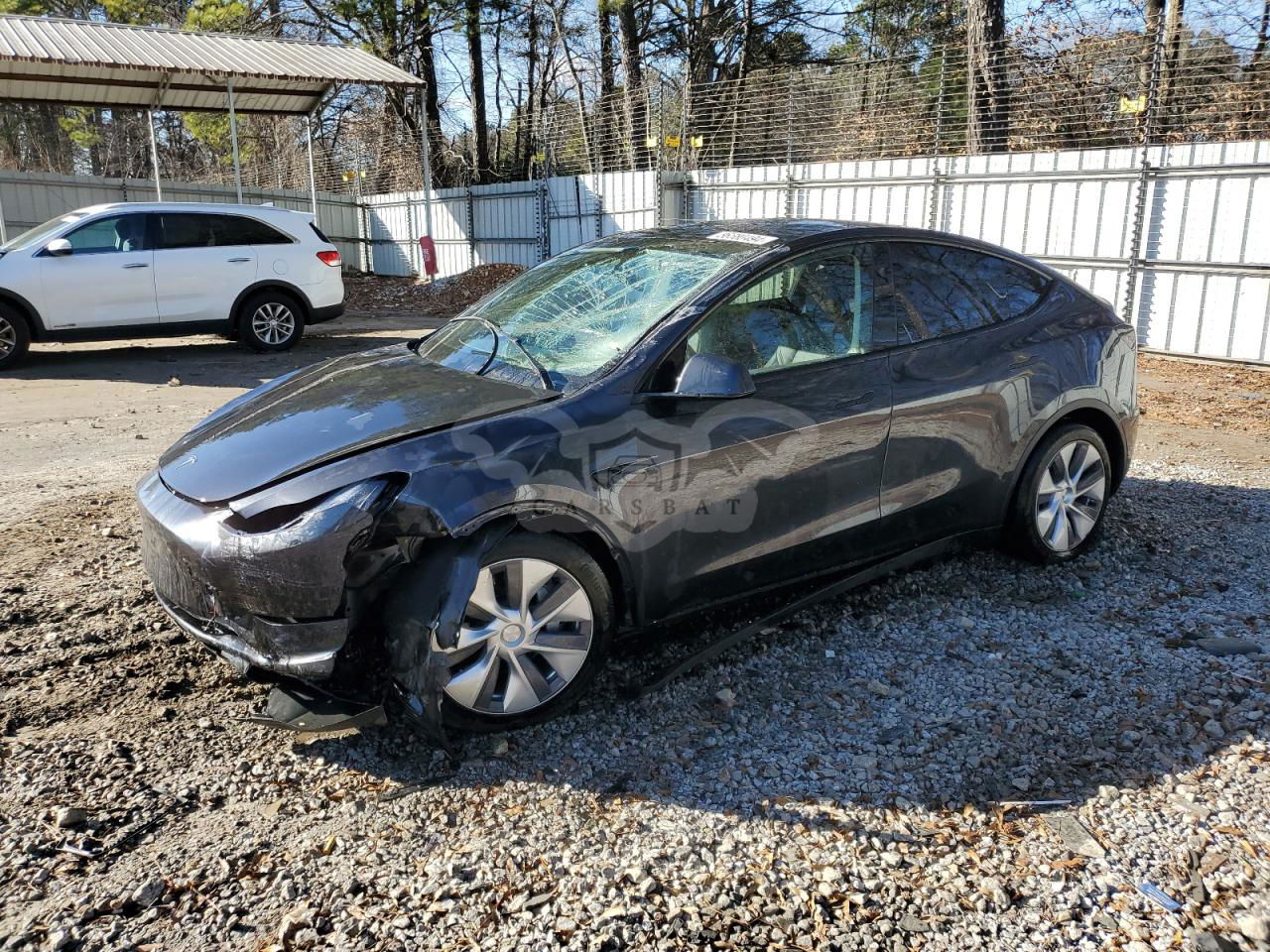 Tesla Model Y 2024