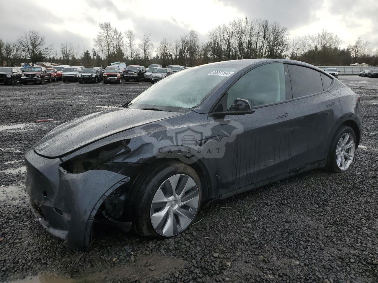 Tesla Model Y 2024