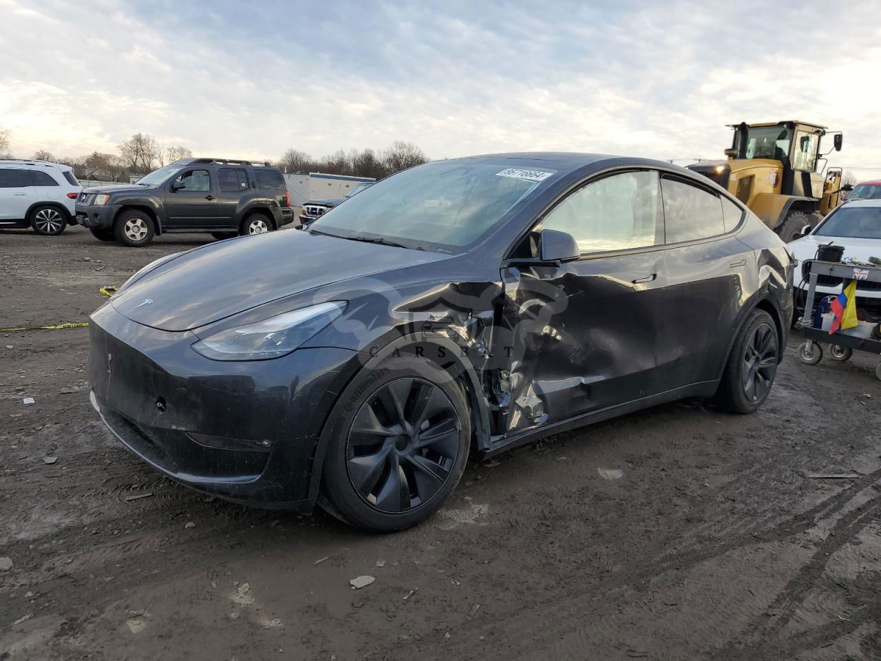 Tesla Model Y 2024