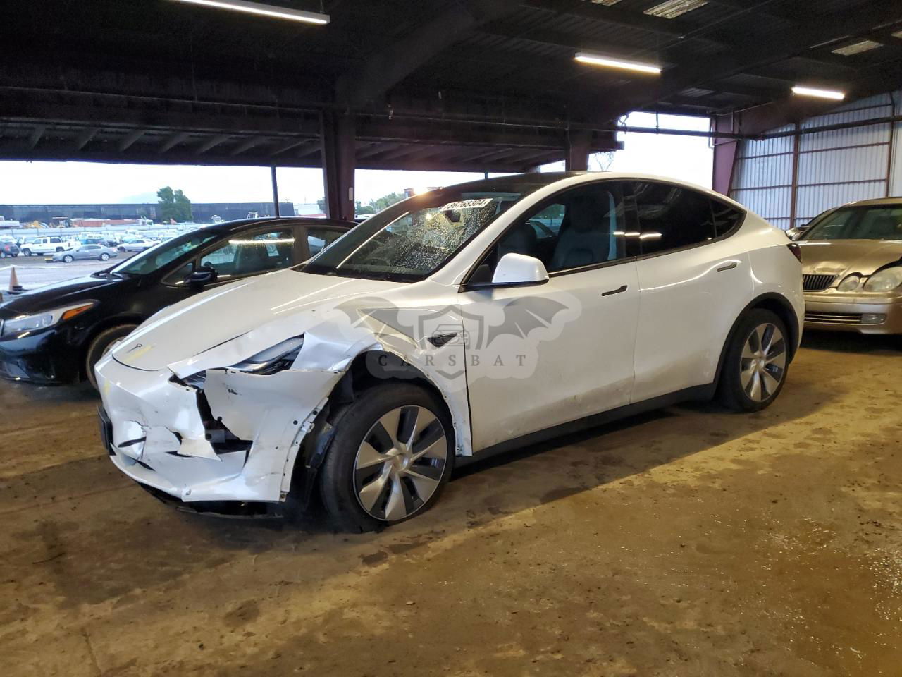 Tesla Model Y 2020