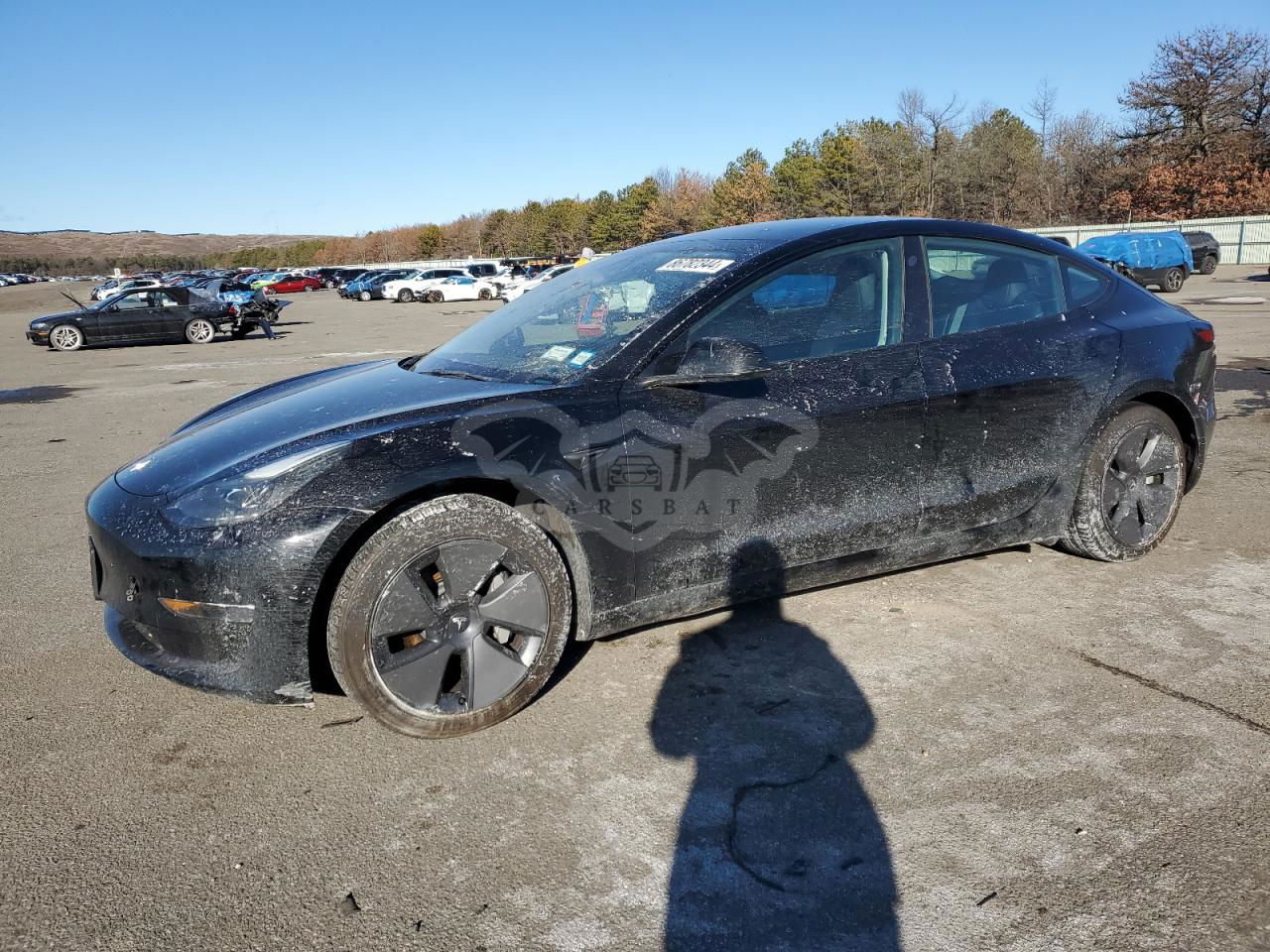 Tesla Model 3 2023