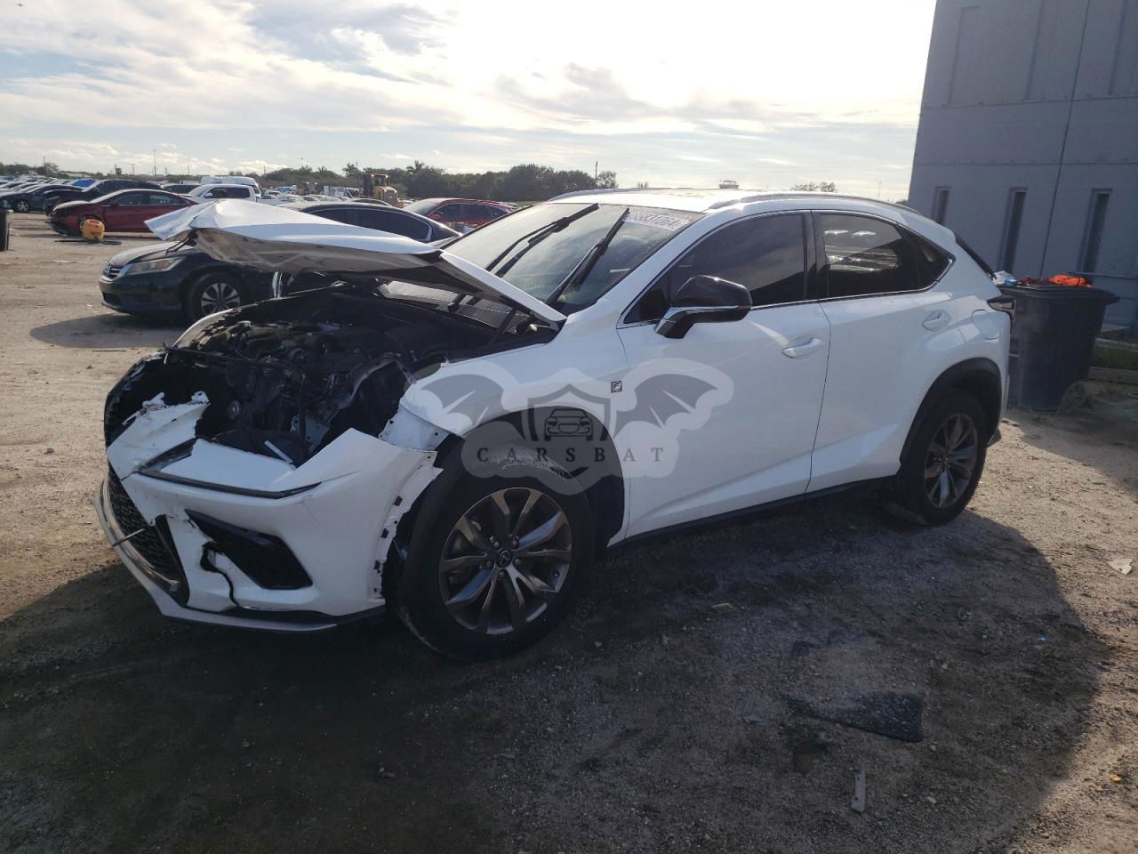 Lexus NX 300 F SPORT 2.0L  4 2020