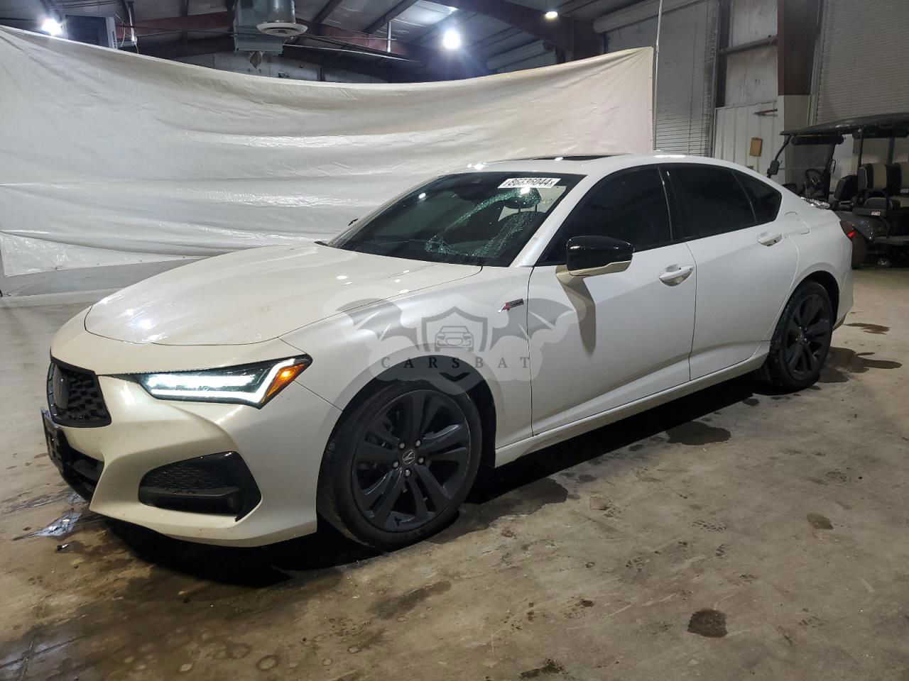 Acura TLX A-SPEC 2.0L  4 2023