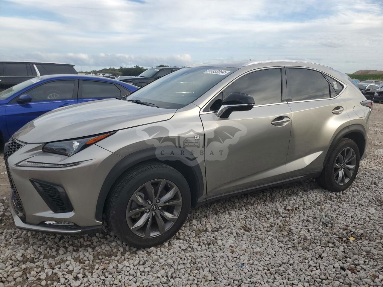 Lexus NX 300 F SPORT 2.0L  4 2020