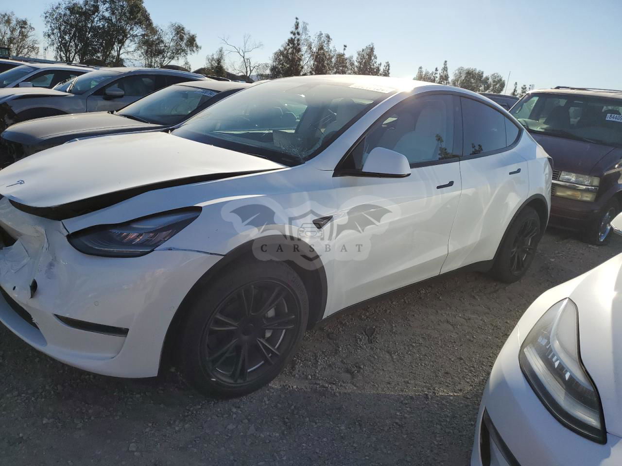 Tesla Model Y 2020